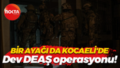 Dev DEAŞ operasyonu! Bir ayağı da Kocaeli'de