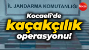 Kocaeli'de kaçakçılık operasyonu!