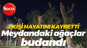 2 kişi hayatını kaybetti... Meydandaki ağaçlar budandı