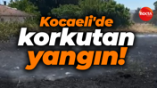 Kocaeli'de korkutan yangın: Tarım arazisi küle döndü!