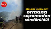 Çöplükte yangın çıktı, ormana sıçramadan söndürüldü!
