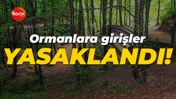 Kocaeli Valiliği karar aldı: Ormanlara girişler yasaklandı!