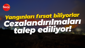 Yangınları fırsat biliyorlar... Cezalandırılmaları talep ediliyor!