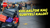 Kocaeli’deki kaç Suriyeli kaldı?