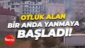Otluk alan bir anda yanmaya başladı!