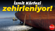 İzmit Körfezi’nde kirlilik alarmı: Yasal süreç başladı!