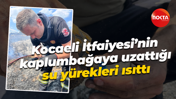 Kocaeli İtfaiyesi’nin kaplumbağaya uzattığı su yürekleri ısıttı