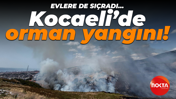 Kocaeli'de ormanlık alan yangını!