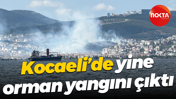 Kocaeli’de yine orman yangını çıktı