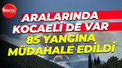 Aralarında Kocaeli de var... Hafta sonu 85 yangına müdahale edildi