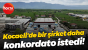 Kocaeli'de bir şirket daha konkordato istedi!