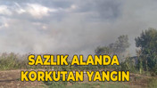 Kocaeli'de sazlık alanda korkutan yangın