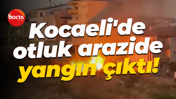 Kocaeli'de otluk arazide yangın çıktı! Ekipler müdahale etti