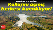 Bu gölet Kocaeli’de: Kollarını açmış herkesi kucaklıyor!