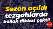 Sezon açıldı, tezgahlarda bolluk dikkat çekti!