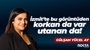 İzmit’te bu görüntüden korkan da var utanan da!