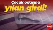 Çocuk odasına yılan girdi!