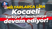 Milyarlarca lira… Kocaeli Türkiye’yi beslemeye devam ediyor!