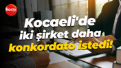 Kocaeli'de iki şirket daha konkordato istedi!