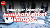 Yabancılar Kocaeli’de harıl harıl şirket kuruyor!