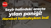 Seyir halindeki araçta yılan paniği! Hareket halindeyken indi