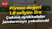Piyasa değeri 1.8 milyon lira; Çakma ayakkabılar jandarmaya yakalandı!