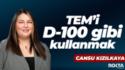 TEM’i D-100 gibi kullanmak