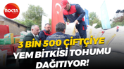 3 bin 500 çiftçiye yem bitkisi tohumu dağıtıyor!