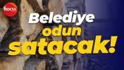 Belediye odun satacak!