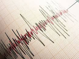 O şehirde deprem yaşandı! - Resim: 6