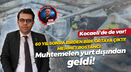 Rüzgarla kilometrelerce taşınabiliyor! Mehmet Bostancı: Bu Şap türü muhtemelen yurt dışından geldi