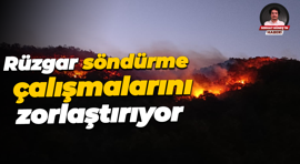 Karamürsel'de şiddetli rüzgar söndürme çalışmalarını zorlaştırıyor