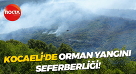 Kocaeli'de orman yangını seferberliği!
