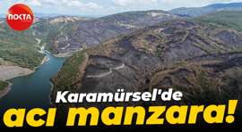 Karamürsel'de acı manzara: Yangının tahribatı gözler önüne serildi!