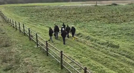 20 yıl önce işlenen 3 cinayetin zanlıları Kocaeli’de yakalandı!