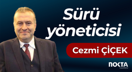 Sürü yöneticisi