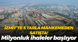 İzmit’te 5 tarla mahkemeden satışta! Milyonluk ihaleler başlıyor...