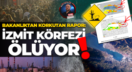 Çevre, Şehircilik ve İklim Değişikliği Bakanlığı'ndan korkutan rapor: İzmit Körfezi ölüyor!