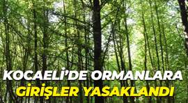 Kocaeli’de ormanlara girişler yasaklandı!