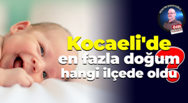 Kocaeli'de en fazla doğum hangi ilçede oldu?