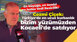 Cezmi Çiçek: Türkiye'de en ucuz kurbanlık bizim yüzümüzden Kocaeli'de satılıyor