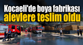 Kocaeli'de boya fabrikası alevlere teslim oldu