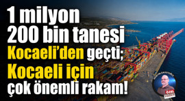 1 milyon 200 bin tanesi Kocaeli’den geçti; Kocaeli için çok önemli rakam!