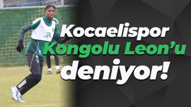 Kocaelispor, Kongolu Leon’u deniyor!