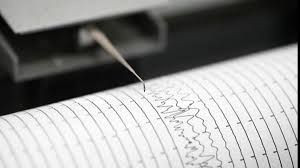 Muğla'da korkutan deprem - Resim: 3