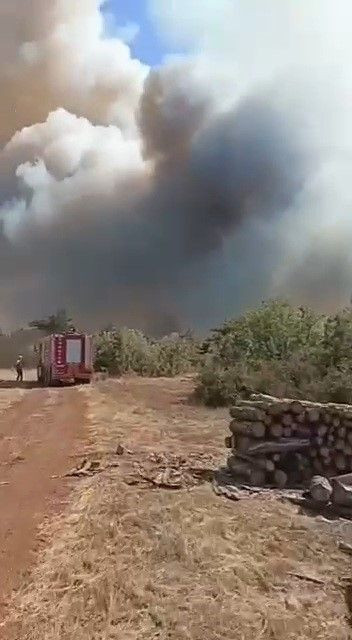 Karabük Saraycık köyü orman yangını - Resim: 4