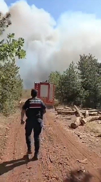 Karabük Saraycık köyü orman yangını - Resim: 3