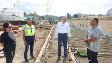 Bünyamin Çiftçi 'Bahçem Çayırova' projesini yerinde inceledi
