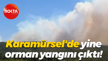 Karamürsel'de yine orman yangını çıktı!