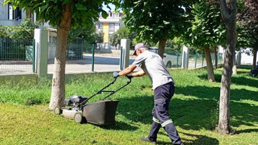 Körfez’de yeşil alan çalışmaları devam ediyor